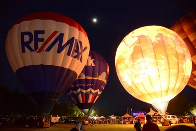 DSC_2419 (Large).JPG